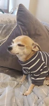 Pyjama Clothing Dog-Puppy-Jumpsuit Sleepingwear Warm Dogs Yorkshir-35 for Small Cat Medium