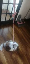 Conjunto de Correa y arnés para perro, lazo suave y ajustable de doble capa para mascota pequeña mediana, correa para caminar al aire libre