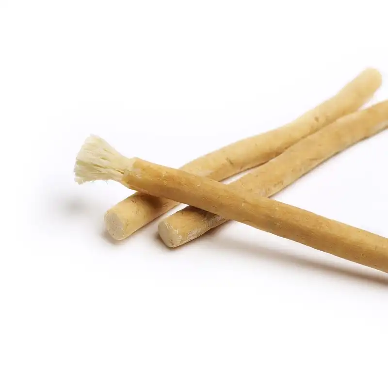 Agarta Bitkisel Dis Macunu 100 Ml 2 Adet Fiyati