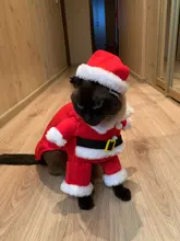 Christmas Cat Clothes Halloween Clothes For Cats Costume New Year Outfit Pet Cat Clothes