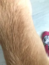 Guantes de aseo de mascotas Deshedding guantes para cepillar eficaz limpieza masaje Animal Baño de pelo de gato perro peines