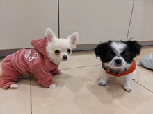 Coat Jumpsuit Clothing Puppy-Fleece Hoodie Apparel Pet-Dog Winter New Warm Velvet