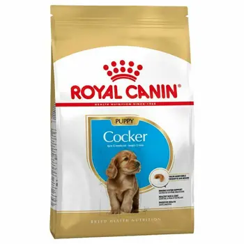 

ROYAL CANIN COCKER JUNIOR dog