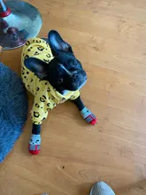 Warm Dog Sweatshirt Puppy-Clothes Dog-Costume Soft-Fleece Chihuahua Winter Yorkshire