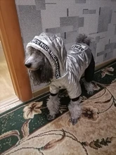 Jumpsuit Pet-Costumes Cotton-Padded Silver-Color Dogs Waterproof Winter Fashion for Hoodie