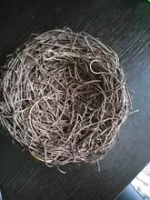 Nest Bird-Cage Prop-Bird Photography-Props Vintage-Decoration Optical-Store Creative