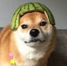 d***u