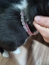 Collar personalizado con hebilla para perros y gatos, Collar personalizado con letras y diamantes de imitación para perros pequeños y medianos
