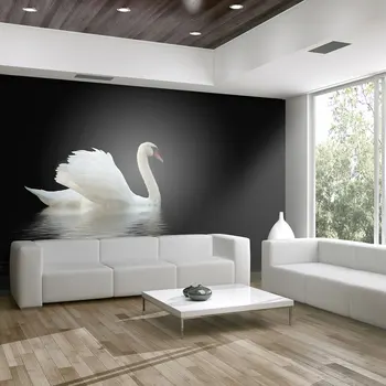 

Wall mural-Swan (black & white)-300x231 cm