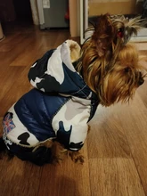 Coats Jacket French Bulldog Waterproof Pet-Dog Small-Dogs Chihuahua Winter Warm for Pets-Clothing