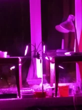 Phyto-Lamp Grow-Light Flower Seedlings Goodland USB Full-Spectrum For Plants LED 