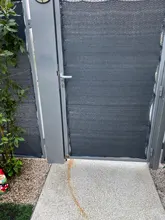 Monos de punto de estrella blanca para bebé recién nacido, mono sin mangas, Tops