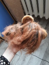 Disfraz de perro o gato Peluca de melena de León, gorro para gato, perro, ropa de Halloween y Navidad, vestido de lujo con orejas, ropa para mascotas