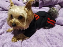 Jumpsuit Clothing Hoodies Jacket Pet-Dog-Coats Small Dogs Sport Apparel Winter Fashion