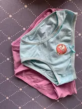 Lote de 4 Uds. De ropa interior para niños, bragas de algodón para niñas, pantalones cortos con diseños de dibujos animados de 2 a 10 años, ZL15