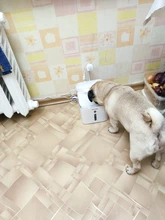 Source-Bowl-Feeder Drinker Fountain-Dispenser DOGS-FILTER Sensor Cats Automatic 3L Quiet