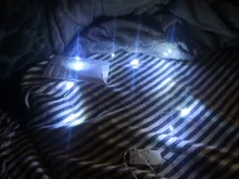 Lights Bedroom Decor Fairy-String Battery-Operated Led-Copper Outdoor Waterproof 10pcs