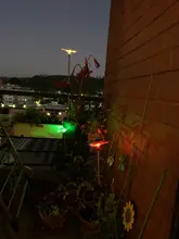 Outdoor Garden Stake-Lights Lawn Solar Butterfly/bird-Lawn-Lamps Multicolor Led