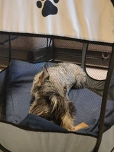 Houses Kennels Fences Dog-Tent Pet-Cage Puppy Dogs Outdoor Portable Cats 