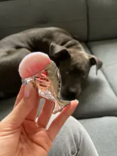 Cepillo de plástico para uñas, limpiador de Gel acrílico UV para manicura y arte para uñas, accesorio para el cuidado, elimina el polvo, 4 tipos