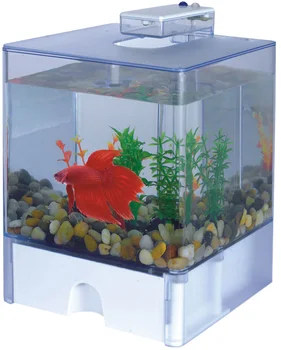 

AA AQUARIUM Aquarium AA Aquarium Aqua Box Betta plastic 3 liters