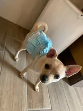 Dress Pet-Clothing Puppy-Cat-Dresses Chihuahua Princess Yorkshire Dogs Small Medium 