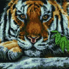 Алмазная мозаика EF 873 Пронзительный взгляд 30*40