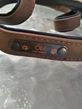 Leash Dog-Collar Bulldog Customized Padded Lead-Rope-Set And