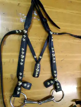 

Kabardinskaya (Cherkessia) bridle with brass set