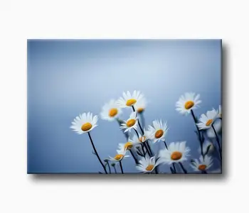 

Daisies Canvas Painting-Canvas Art Print Home Picture Frames Wall Photo Frame