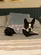S-XL sin mangas con estampado a la moda para perros pequeños, chaleco cómodo con estampado de corazón para perros y cachorros, ropa de mascotas de alta calidad