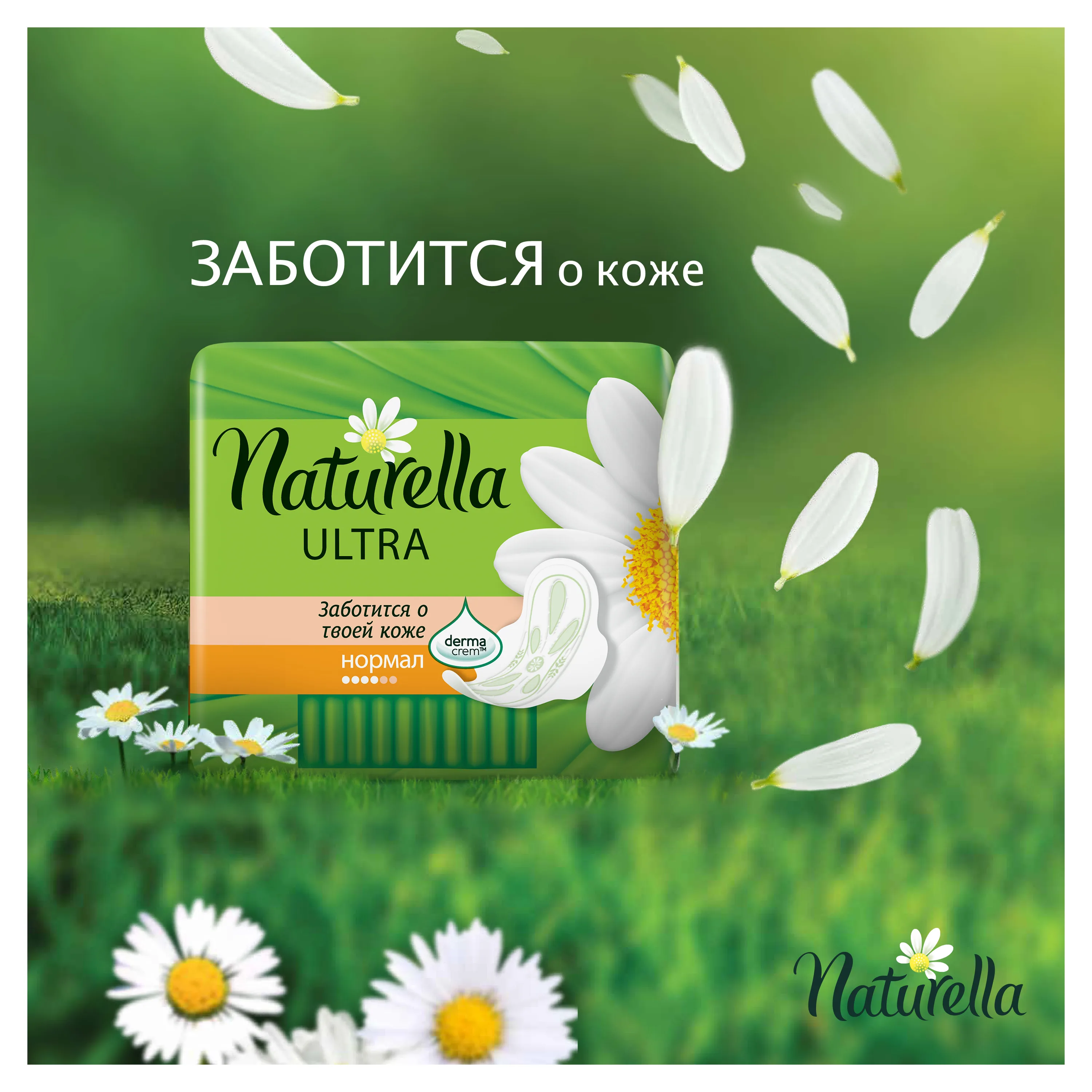 Women scented pads Naturella ULTRA Normal(with chamomile aroma) Single, 10 pcs.,sanitary napkin Naturella, sanitary napkins Naturella, feminine pads Naturella, feminine pads Naturella, sanitary napkin, sanitary napkin