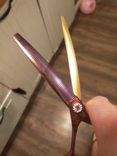 Fenice-Tijeras profesionales para peluquería canina, herramienta de alta gama, ideal para cortar pelo de perros y gatos, de 7,0 pulgadas