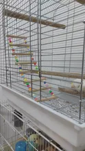 Escaleras de loros para pájaros y mascotas, juguete de escalada, bolas de colores colgantes con cable de madera Natural, cuerda para hámster, loro, mordedura, arnés jaula