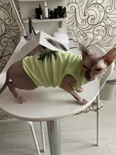 Ropa de perro para perros pequeños estampado bonito verano mascotas camiseta perro ropa chaleco para gatos mascota de algodón de T camisa Pug ropa trajes