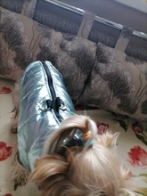 Ropa para perros grandes, chaleco impermeable para perros grandes, chaqueta de otoño e invierno, abrigo para perros cálidos, ropa para perros, Chihuahua Labrador S-7XL