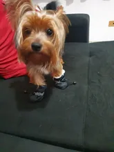 4 unidades/juego de zapatos de lluvia antideslizantes de Cachemira suave y cálida para mascotas, calzado suave a prueba de viento para perros y mascotas, zapatos impermeables antideslizantes