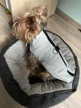 Jacket Vest Puppy-Clothing Pug-Coat Small Dogs Chihuahua Waterproof Winter Teddy Pet-Dog