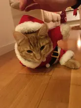 Christmas Cat Clothes Halloween Clothes For Cats Costume New Year Outfit Pet Cat Clothes