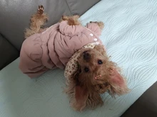 Hoodie Coat Outfit Warm-Dress Girl Dog Winter Princess New Floral 6-Sizes Bubble-Skirt