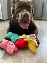 Toy Plush-Toy Pet-Supplies Cloud-Shaped Funny Cartoon Star for Dogs