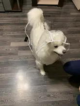 Dog-Raincoat HOOPET Waterproof Jacket Puppy Dogs Dog-Medium-Sized Big Casual