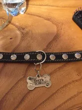 Collar-Accessories Dog-Tag Engraved-Tel Sex-Name-Tag Dogs Kitten Pupp Pet-Dog Stainless-Steel