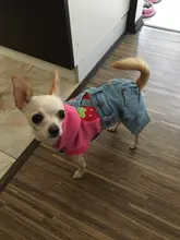 Jeans Clothing Jacket Coat Dog-Costume Puppy Dogs Small Denim Pet Medium for Chihuahua