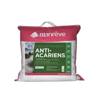 

BLANREVE Set of 2 pillows mite 60 cm.
