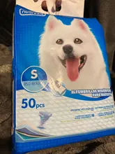 Nobleza - 50 x Empapadores Perros Alfombrilla higiénica de Entrenamiento para Perros. Ultraabsorbente 40cm*60cm.