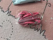 Arnés para perro o gato ajustable, reflectante, para gatos, exteriores, para perros pequeños, para caminar, Chihuahua, Terier