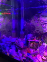 EXTERNAL-FILTER Sunsun-Tank Mini Aquarium HW602 HW603B/HW603 110-240V