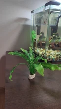 Aquarium-Accessories Decoration Materials Fish-Tank Artificial Green 20cm PVC Plants
