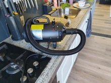 2600w profesional secadores para perros mascotas secador de pelo gato ajustable aseo soplador de aire de temperatura ajustable Con 3 boquillas